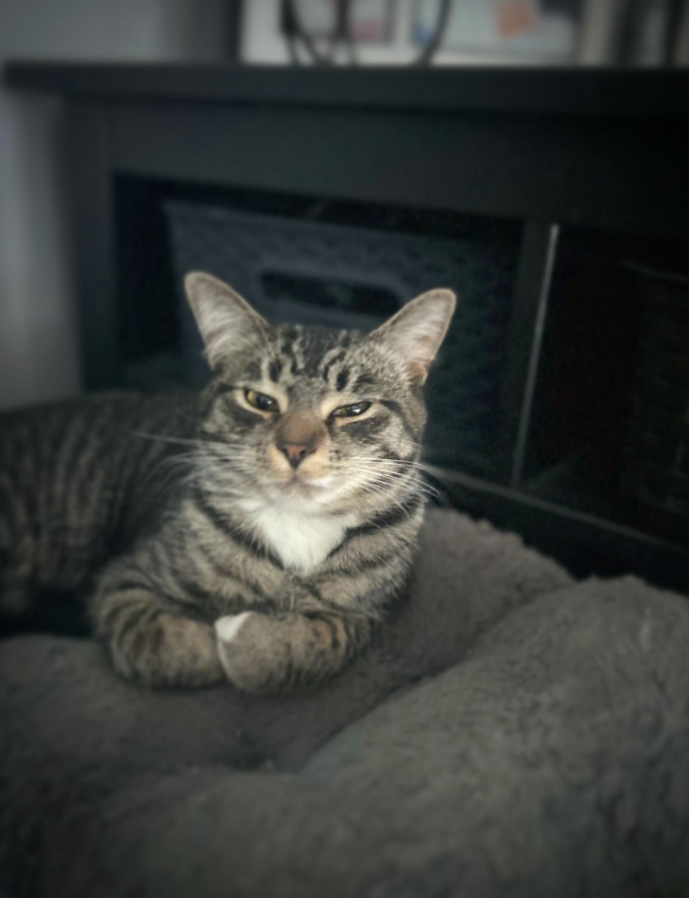 Screenshot 2025-10-14 at 6.36.22 PM