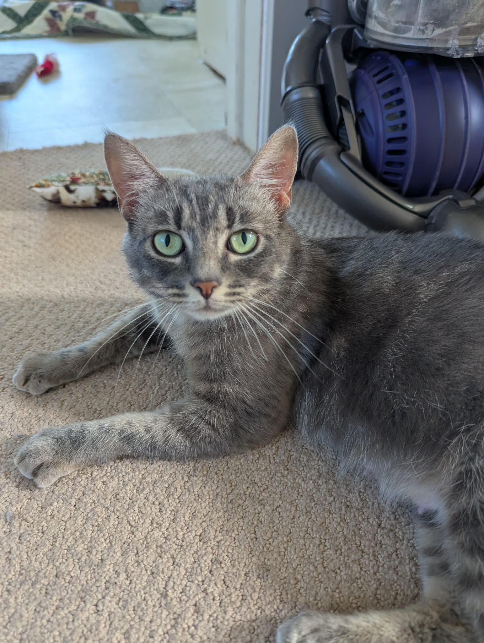 tessa4